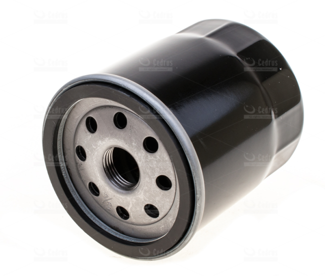 Przejdź do produktu Filtr oleju B&S długi 491056 8R21-04