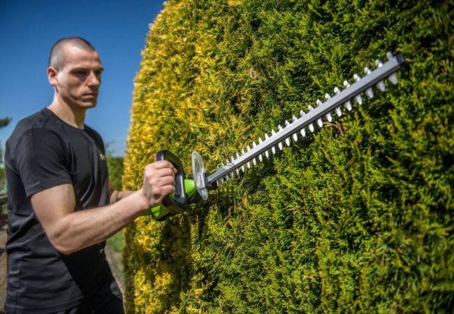 Przejdź do produktu 4Garden ANE5121S zestaw nożyce akumulatorowe do żywopłotu 20V, lekka i ergonomiczna przycinarka, wydajne ostrza, idealna do cięcia krzewów i żywopłotów w ogrodzie