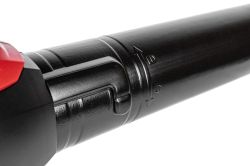 Dmuchawa akumulatorowa Cedrus Power+ B42LiX2 2x20 V, zdjęcie 4