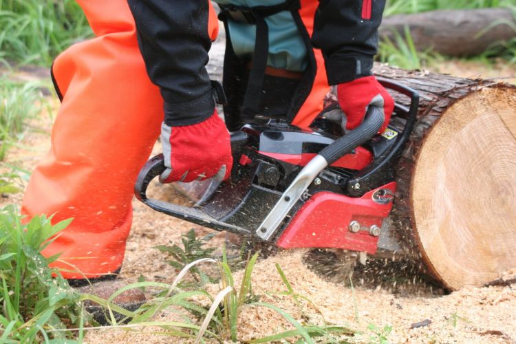 Pilarka spalinowa Maruyama MCV3501S 34,9 cm³ 2 KM, zdjęcie 2