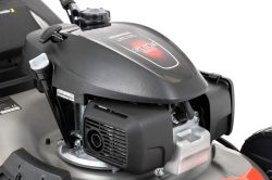 imagehandler (7).jpg