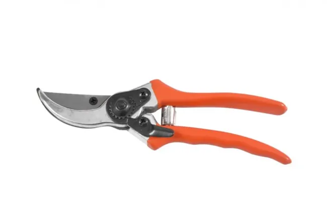 Przejdź do produktu Sekator ogrodowy 215mm Hecht 420CC