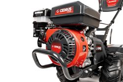 imagehandler (1).jpg