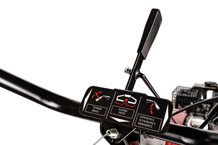 imagehandler (7).jpg