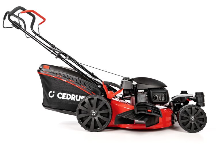 Kosiarka spalinowa Cedrus KS51S-H-ZT 51 cm Honda 166 cm³, zdjęcie 3