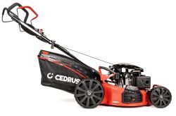 Kosiarka spalinowa Cedrus KS53S-L 53 cm Loncin 196 cm³, zdjęcie 3