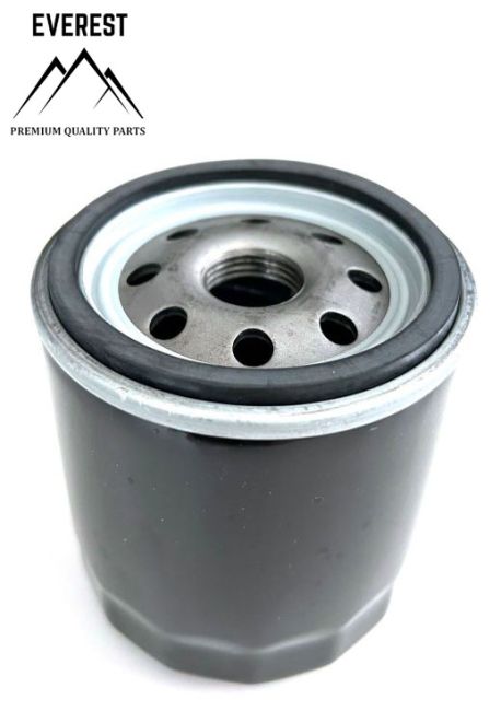 Przejdź do produktu FILTR OLEJU BRIGGS&STRATTON WYSOKI TRAKTORY KOHLER EVEREST