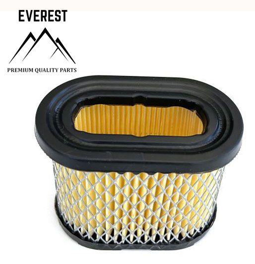 Przejdź do produktu FILTR POWIETRZA BRIGGS&STRATTON INTEK 5KM-6KM EVEREST