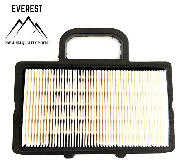 Przejdź do produktu FILTR POWIETRZA BRIGGS&STRATTON 2 CYLINDRY WALIZKA NOWY TYP EVEREST