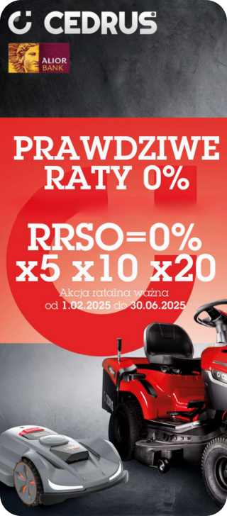 Promo Banner
