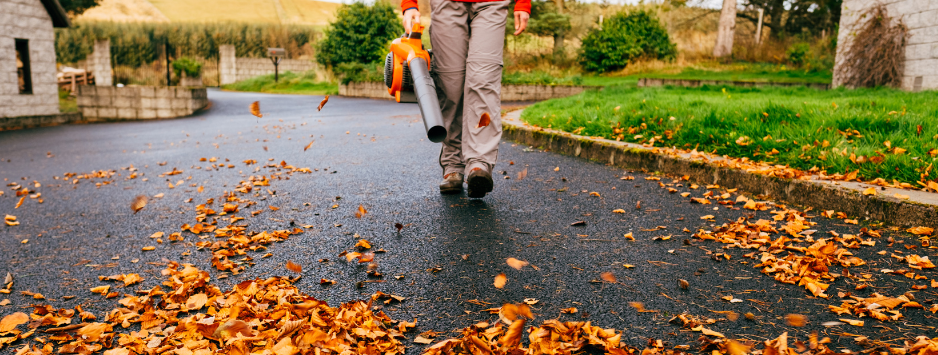 Jaką dmuchawę spalinową wybrać? Porównanie modeli Hecht, Cedrus, Hortmasz, Lider i 4Garden