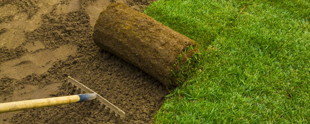 WYBÓR OPTYMALNEJ WYCINARKI DARNI