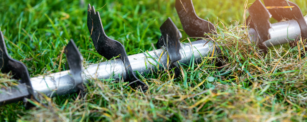 Kiedy przeprowadzać wertykulację? Praktyczny przewodnik pór roku i warunków